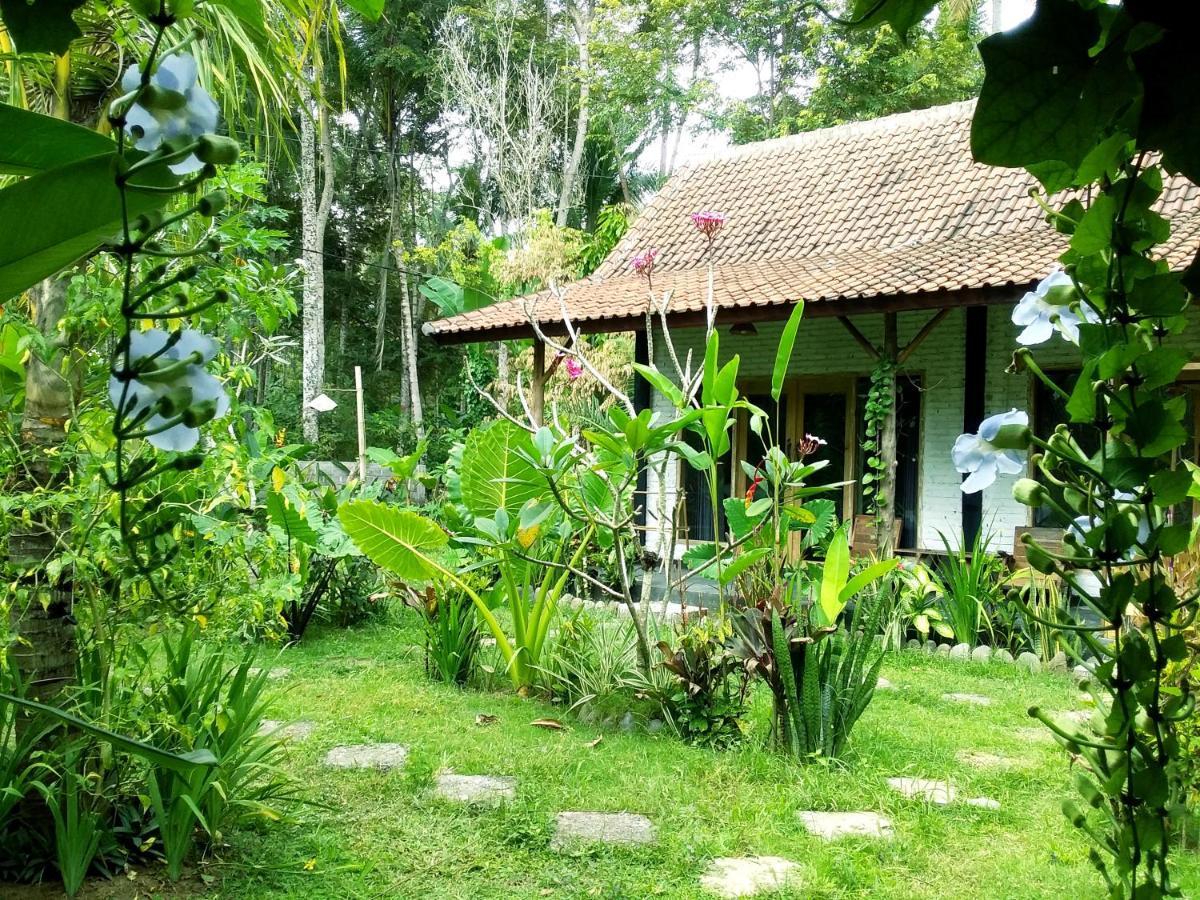 Jungle House - Surf & Stay 풀루칸 외부 사진